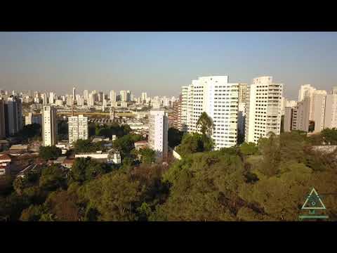 Vídeo: Manuseio Livre Do Monumento