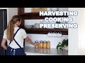 Modern homesteading family of 7  day in the life