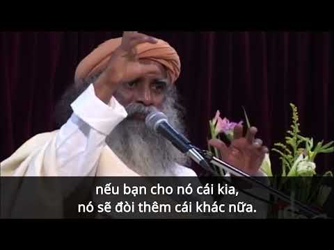 Sadhguru: Cơ Thể Phương Tiện Để Tiến Xa Hơn