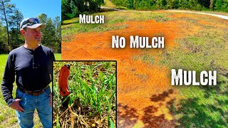 Less Rain - More Growth with Mulch - The Release Process™ working in South Carolina