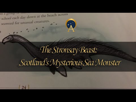 The Stronsay Beast Scotland's Mysterious Sea Monster