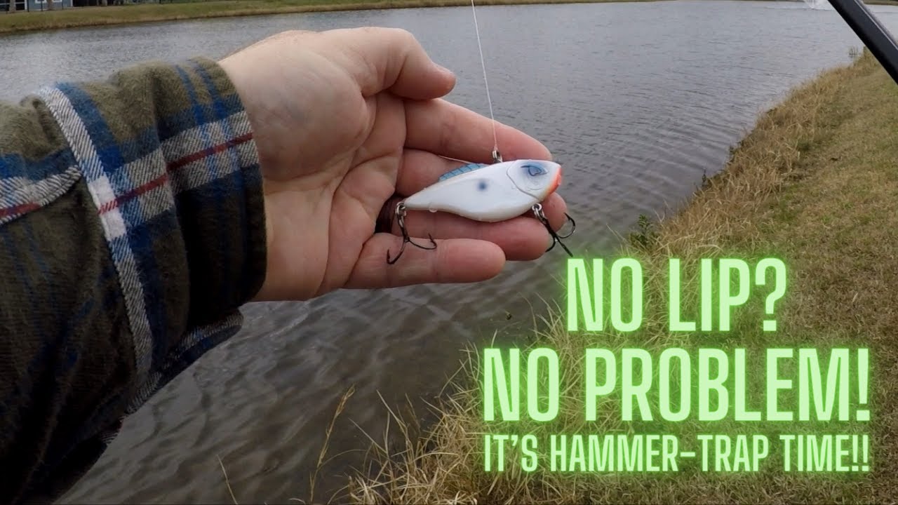 I Fished with the Bill Lewis Hammer Trap! Wow!! #fishing #bassfishing  #lurefishing 