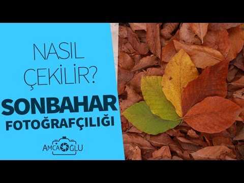 Video: Sonbahar Tatillerinizde Nasıl Eğlenirsiniz?