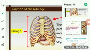 ClassVI Science 13 05 2020 by Ms Mridulata Upadhyay