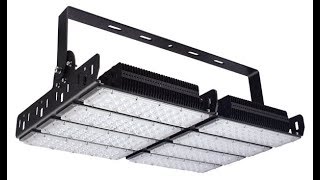 Blackberrykush Skyline Led By Ledhydroponics