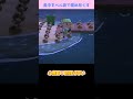 【あつ森】　≪島中を💰≫　タイムロス