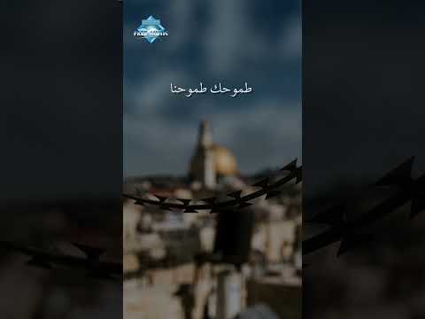 قلوبنا وروحنا فداكي يا قدس