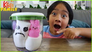 marshmallow in vacuum with top 5 science experiments for kids