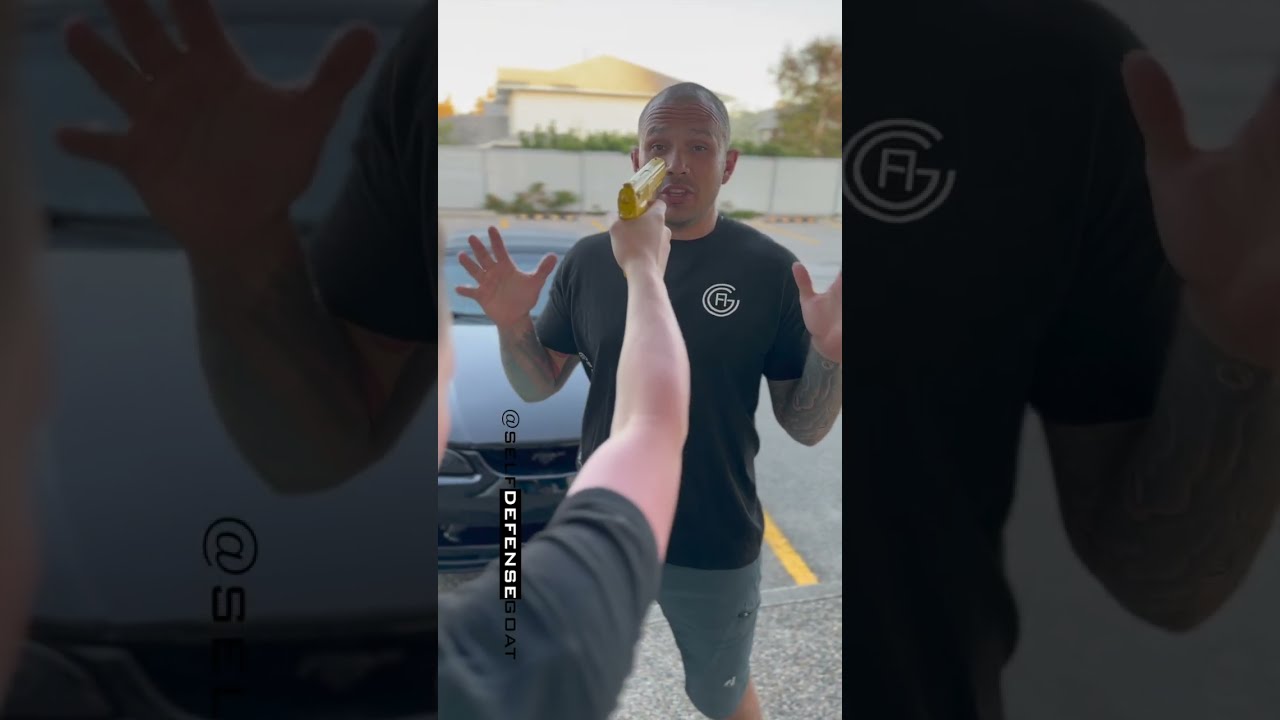 Gun Self Defense 2 0