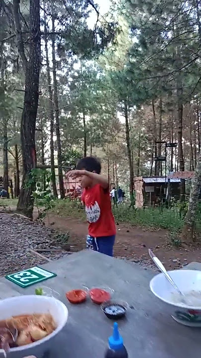 joget apa itu y.....