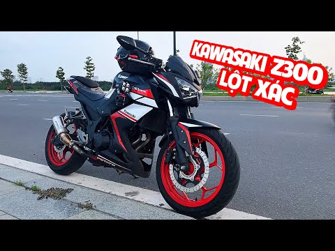 RỜ RỜ #47 | KAWASAKI Z300 RỜ RỜ EDITION - BỘ TEM MỚI ĐÓN NĂM 2019
