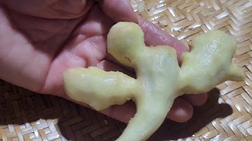 Mẹo Gọt Vỏ Củ Gừng Nhanh Không Cần Dao