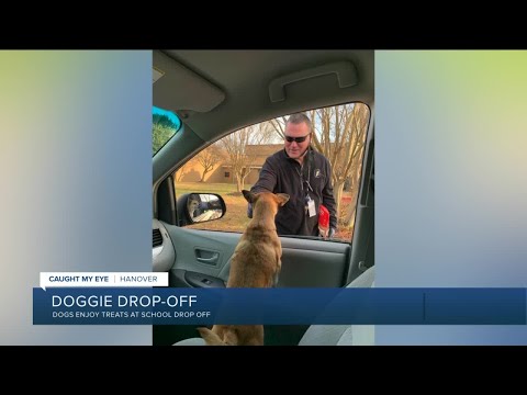 Pups get treats in drop-off line at Hanover middle school