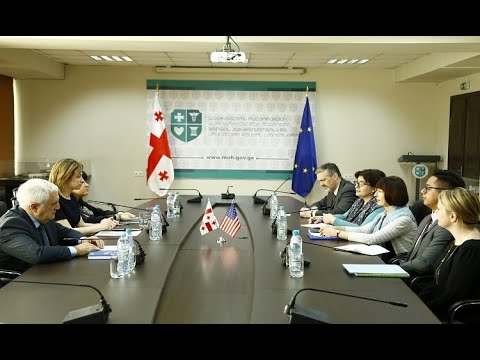ეკატერინე ტიკარაძე აშშ-ს ელჩის მოვალეობის შემსრულებელს შეხვდა