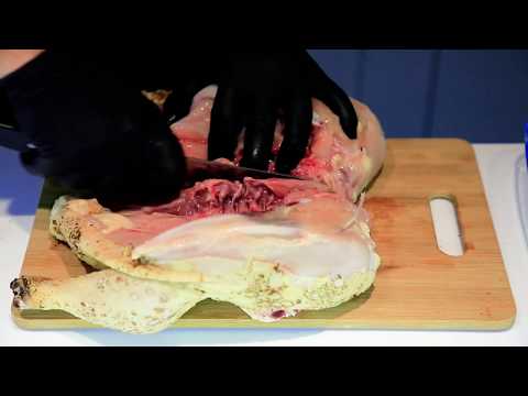 როგორ მოვამზადოთ საცივი