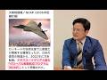 🇯🇵🇬🇧🇮🇹GCAP計画と航空宇宙自衛隊/橋本幹彦議員に聞く02