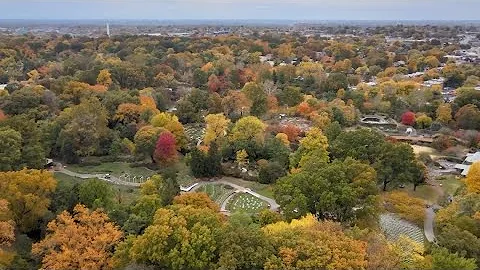 Drone video: Fall foliage across St. Louis area