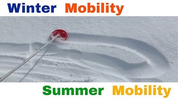 Dakota Disk Ambutech Mobility Cane Tip | A Winter Cane Option - Summer Cane Option