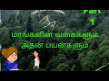 Shall we know the types of trees and their uses tweencraft tree tamil
