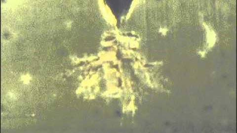 Electrical breakdown through an electrical tree