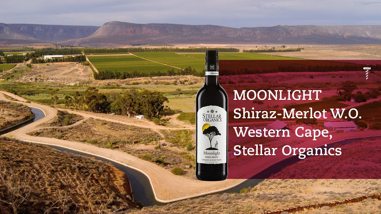 Western MOONLIGHT | Cape W.O. Vinoc Shiraz-Merlot 2022 Stellar Organics