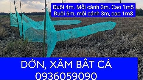 Dớn lú bắt cá. Xăm dớn chặn sông. Bán dớn chặn sông. Bán dớn bắt cá. Bán đuôi chuột bắt cá.