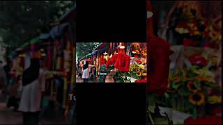 Dil Laga Liya Maine Tumse Pyaar Karke ❤️ | Hindi Bengali Lyrics | Love Status 💖 #shorts