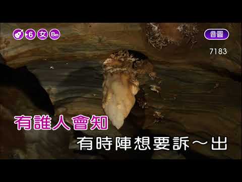 心事誰人知~沈文程~女Bm調~伴奏~導唱(甲)