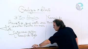 Qual período da Era Paleozóica é caracterizado pelo aparecimento de grandes florestas?
