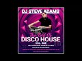 The best of disco house vol 1