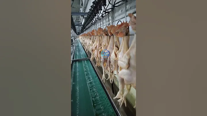 Xindesheng Automation Technology Chicken Weight Sorting Machine (XDS-800G-A)#sorting #machine #food