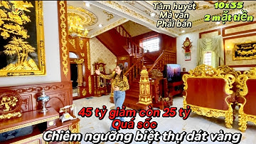 BÁN BIỆT THỰ DÁT VÀNG | Tặng toàn bộ nội thất gỗ gõ đỏ giá 25 tỷ 2 mặt tiền