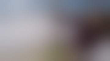 BHO Extraction the safe and easy way