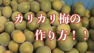 【カリカリ梅の作り方】簡単に作れて保存が利く！！