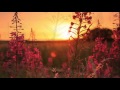 Paisible matin musique relaxante piano avec sons de la nature