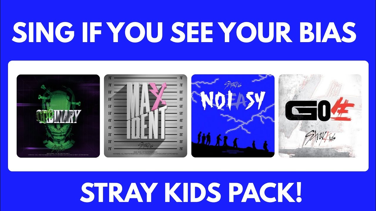 SING IF YOU SEE YOUR BIAS — STRAY KIDS PACK!