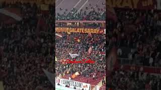 Tutma Benim Gibi Onun Elini...