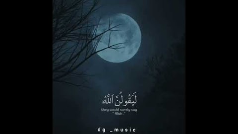 سورة العنكبوت بصوت الشيخ"عبد الرحمن مسعد"...حالات واتس اب🌺💚