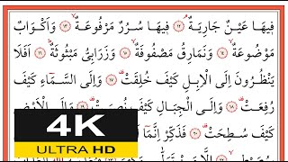01412 Gâşiye Sûresi 12-26. Ayetler- İshak Danış - اسحق دانيش - (Yavaş Okuma)