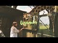 FEEDING GIRAFFE 😱 | ENTEBBE, UGANDA