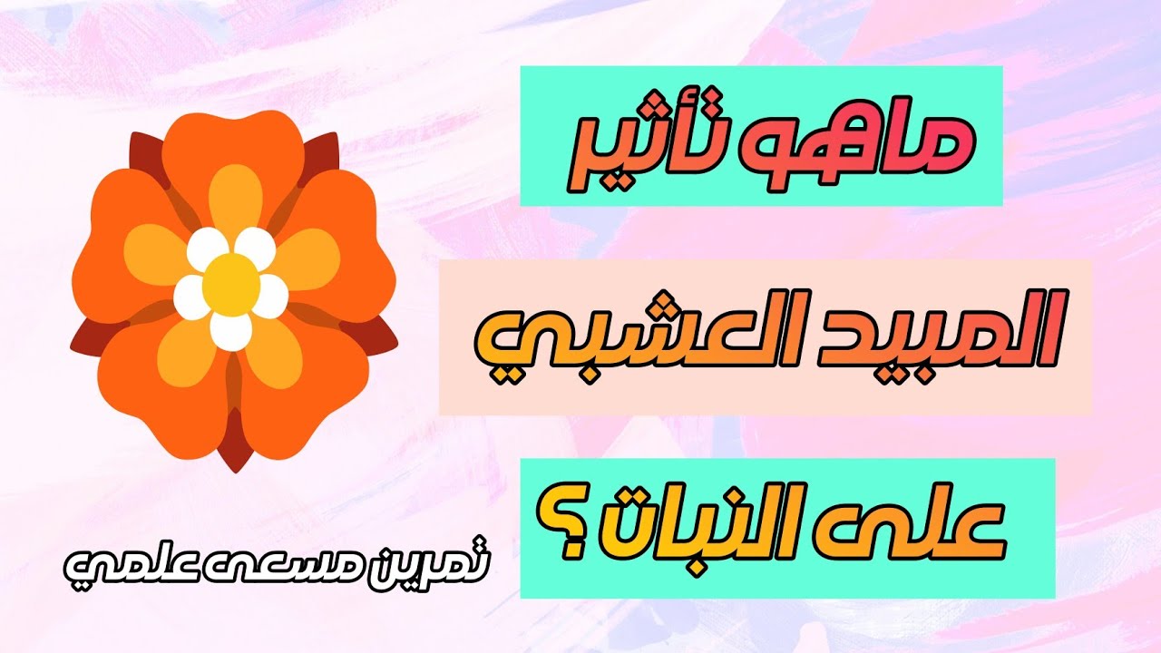 باك 23 مسعى علمي :  تأثير المبيد العشبي 🏵️ !!