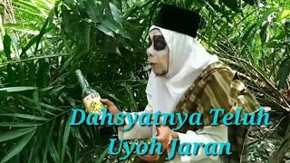 Pumpkin Ghost Viral Comedy Part 2: The Awfulness of Teluh Uyoh Jaran
