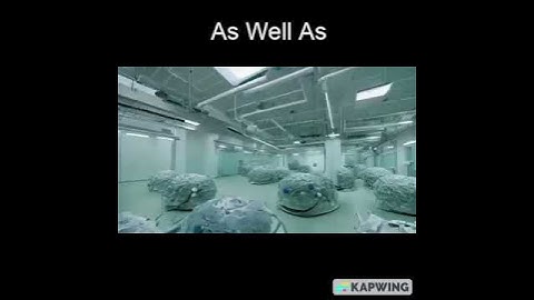 Un-bortion • #MusicLM #Zeroscope