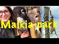 #47 Malkia park. Зоопарк Словакия 🇸🇰  Что посмотреть в Словакии, Братиславе