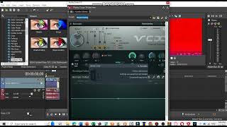 How To Make Megavocoding On Sony Vegas Pro