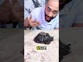 ヴェノムの正体を顕微鏡で見たら衝撃だった
