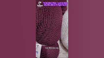 vó kéo cá, Vó Bè Mắt 2 cm, 6x6m – Lưới Dù Nhật Siêu Bền, Bắt Cá Từ Ngón Tay Út #shorts