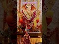     ganpati bappa morya  shorts youtubeshorts