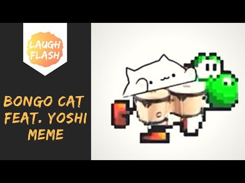 bongo-cat-meme-😂😂-yoshi-theme-with-bongos