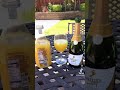 THE BEST MIMOSA HACK |  MOTHER&#39;S DAY MIMOSA   #SHORTS